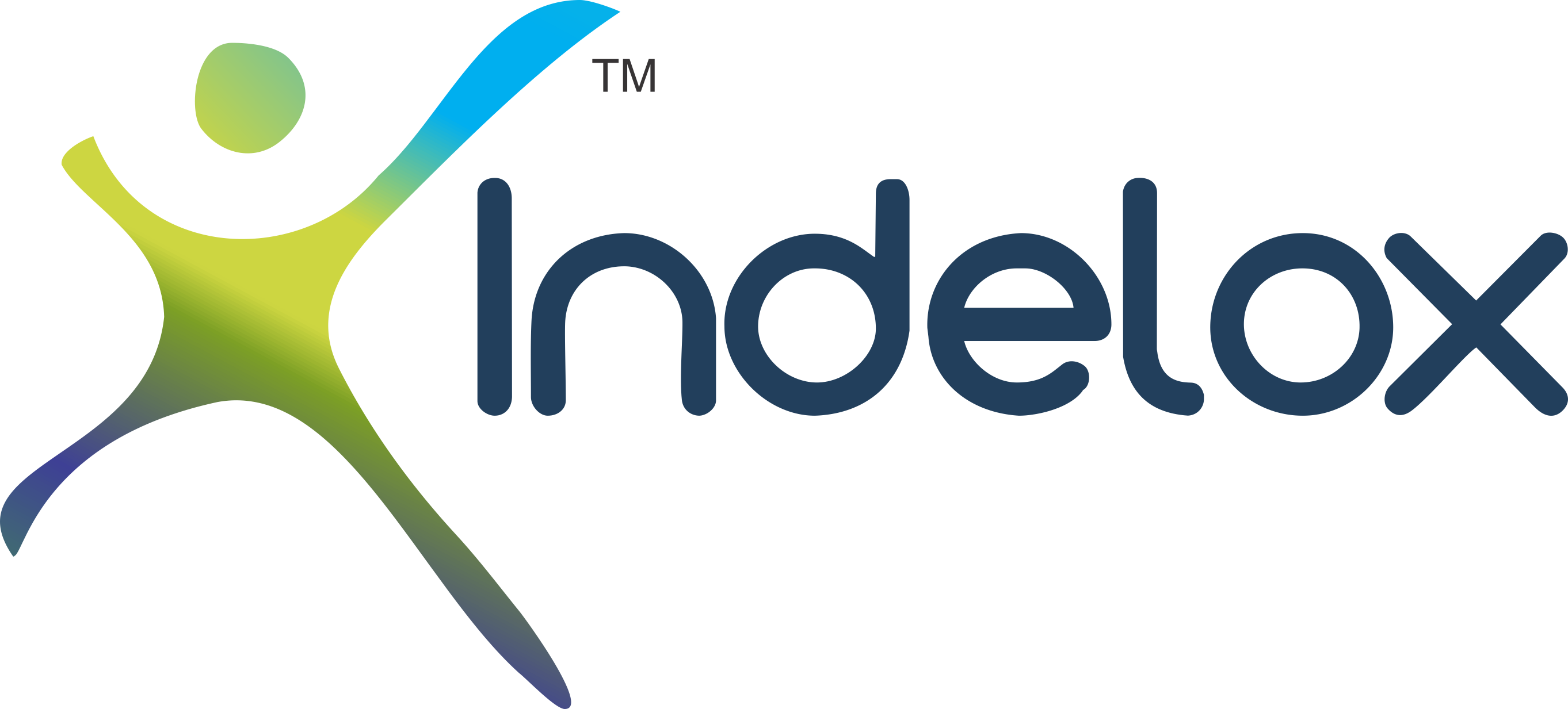 Indelox